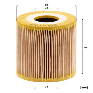 Oil Filter<br> Article No: HU 818 x